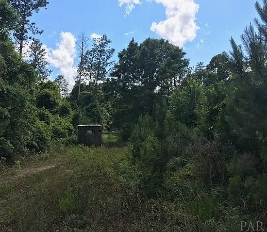 2nd image of 0 John Lowery Rd