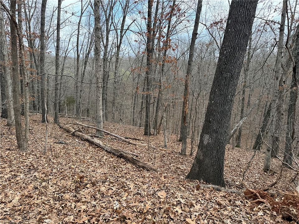 1st image of Celtic Dr #15