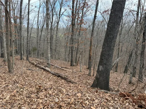 Celtic Dr #15, Bella Vista, AR 72714