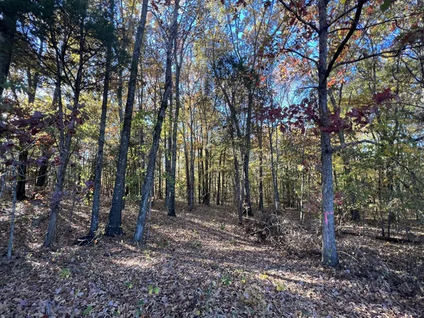 9 Gibbs Rd Lot 9, Woodlawn, TN 37191