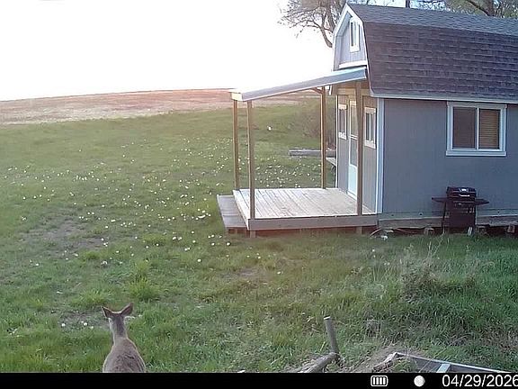 Wildlife at the front door