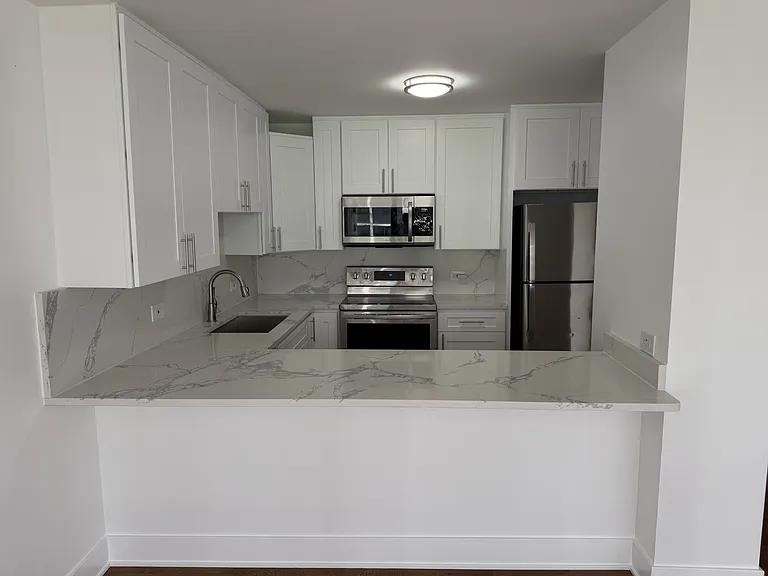 1540 N Lasalle St #403 — Photo 5