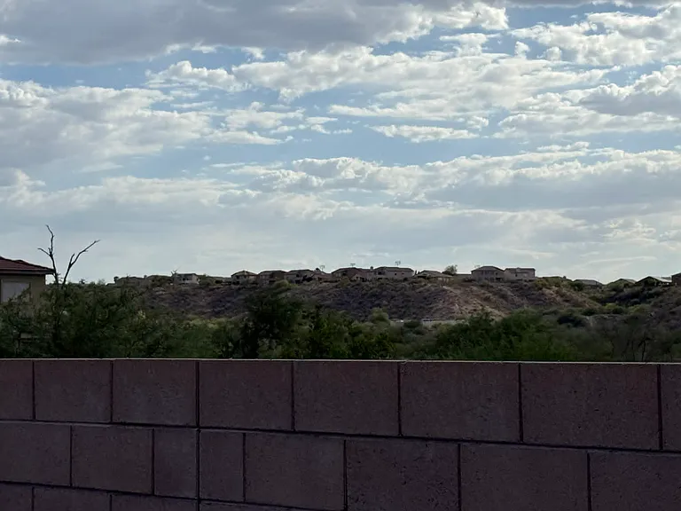 10450 S Cutting Horse Dr — Photo 30