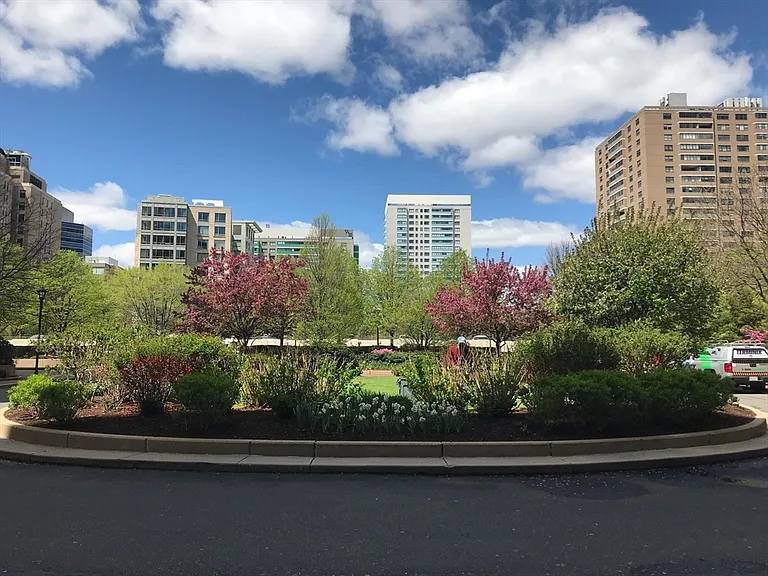 Hawthorne Pl — Photo 10