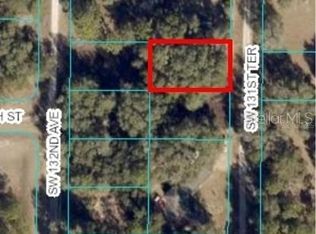 LOT 16 SW 131st Ter LOT 16, Dunnellon, FL 34432