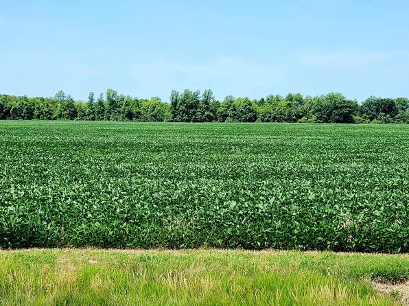 0 S Marion St, Bloomville, OH 44818