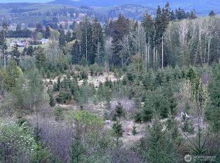 0 0 Jones Rd, Pe Ell, WA 98572