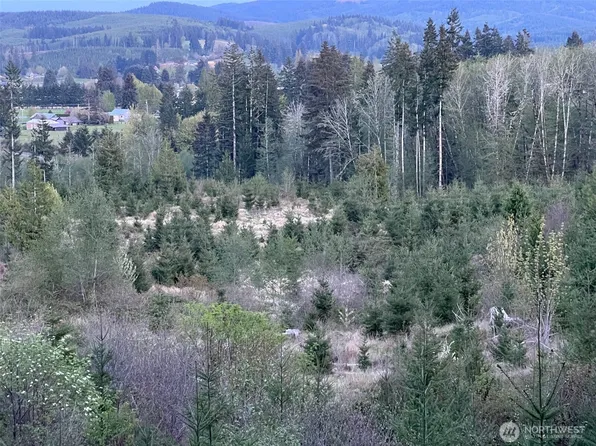0 Jones Road, Pe Ell, WA 98572