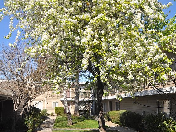 4th image of 1576 Heather Dr APT 206
