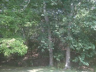 4th image of 407 Shannon Blvd