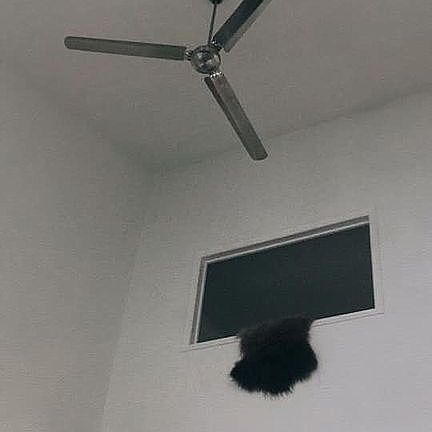 High ceiling