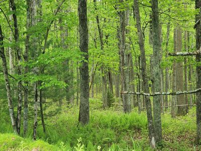 LOT 9 Lynric Ct, Shohola, PA, 18458
