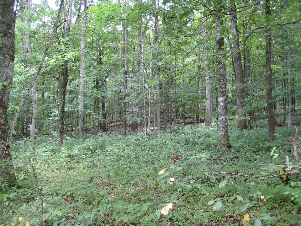 1st image of 0 Paint Rock Trl