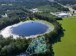 392 Sylvi Northwest Dr, Lake City, FL 32055