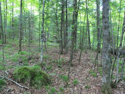 Tower Ridge Rd, Mercer, WI, 54547