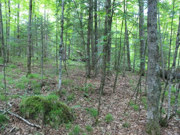 Tower Ridge Rd, Mercer, WI 54547