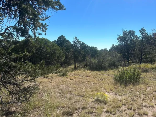 Farmer Way, Datil, NM 87821