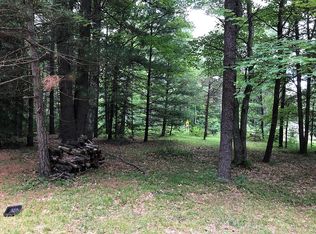 11899 N Maple Valley Rd, Roscommon, MI 48653