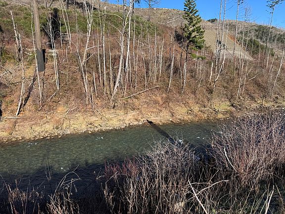 3rd image of 25497 Taylor Park Rd SE