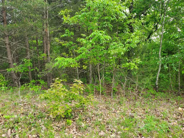 0 Highwater Rd Lot Tr 5, Waverly, TN 37185