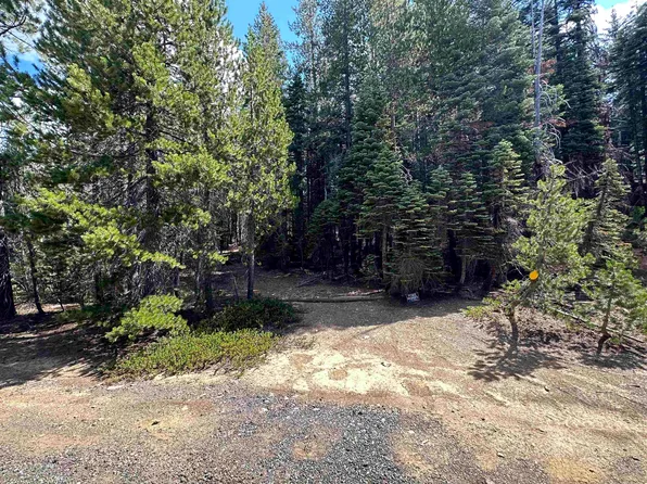 1365 Ararat Dr, Bucks Lake, CA 95971