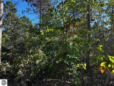 0 S M 37, Mesick, MI, 49668