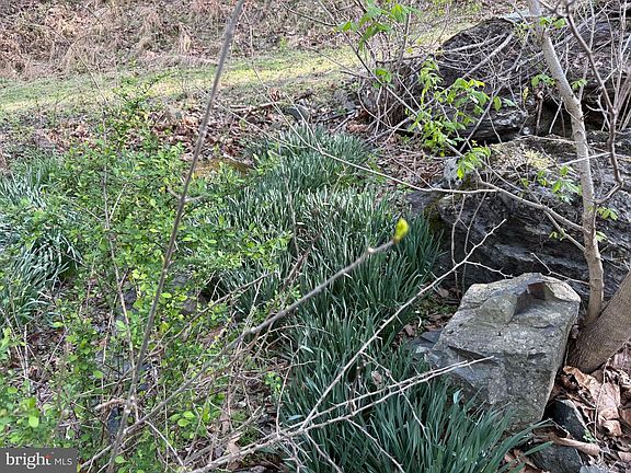5th image of LOT 1 Dragons Rd