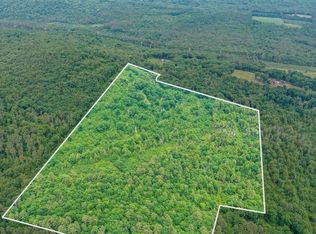 231 Mutton Road, Webster, NH 03303