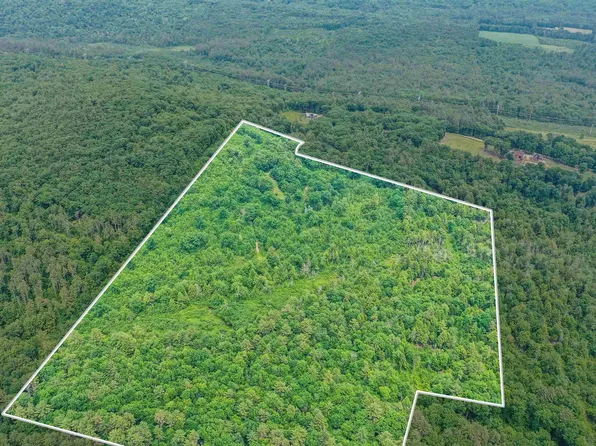 231 Mutton Road, Webster, NH 03303
