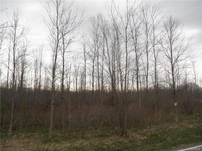 0 Pontiac Rd, Angola, NY, 14006