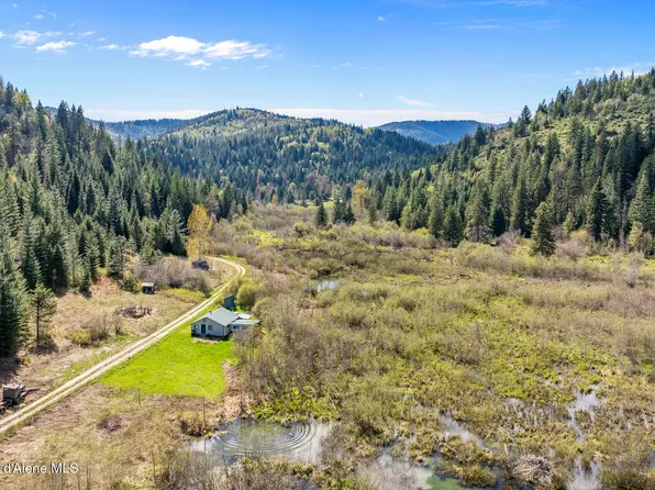 1791 Pup Paw Trl, Priest River, ID 83856