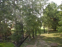 4th image of 12145 Lake Vista Dr