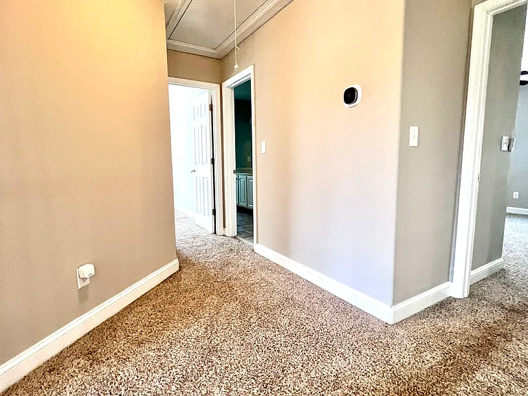 1501 Chesapeake Ave — Photo 47
