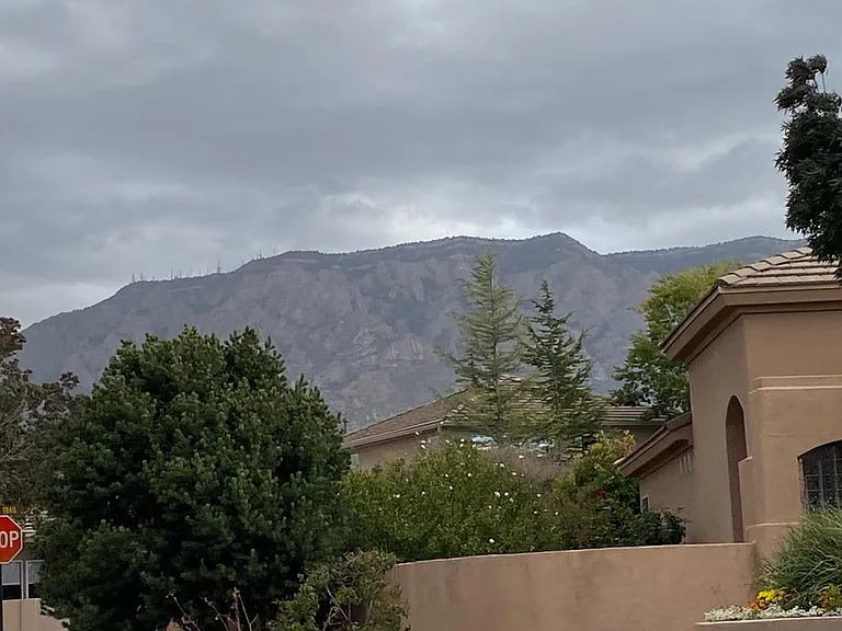 6020 Purple Aster Ln NE — Photo 37