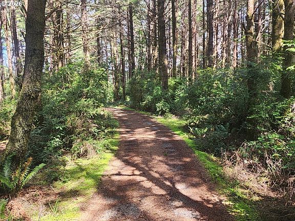 3rd image of Cemetery Loop Rd #2300