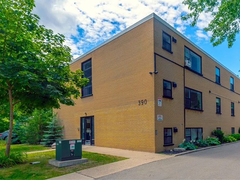 390 Grey St #4 — Photo 6
