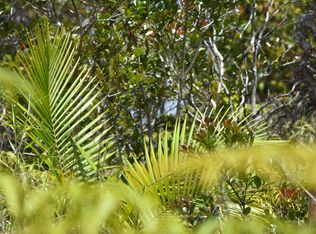 Omeka Road Fern Forest Ests, Mountain View, HI 96771