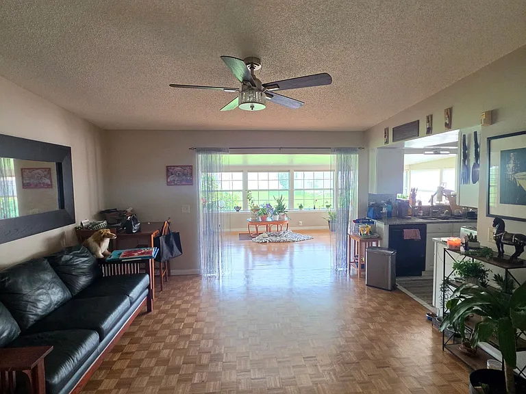 725 Hamlin Dr — Photo 8