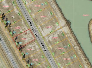 85 Pinewood Cv, Snow Hill, NC 28580