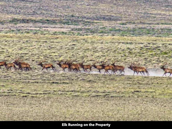 Shamrock Road, Rawlins, WY 82301
