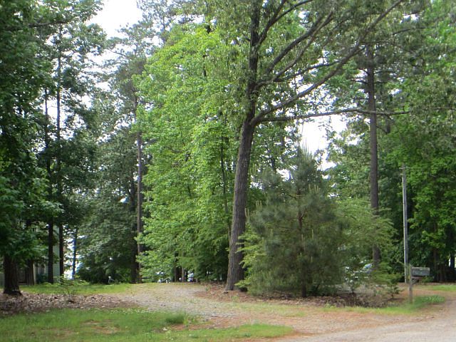 1st image of 6 Magnolia Ct