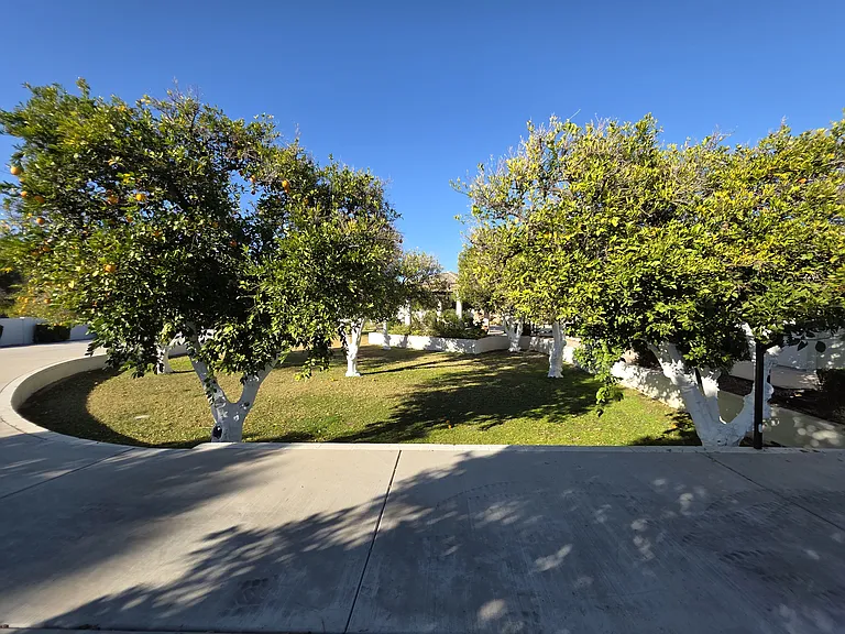 4222 E McLellan Cir #13 — Photo 18