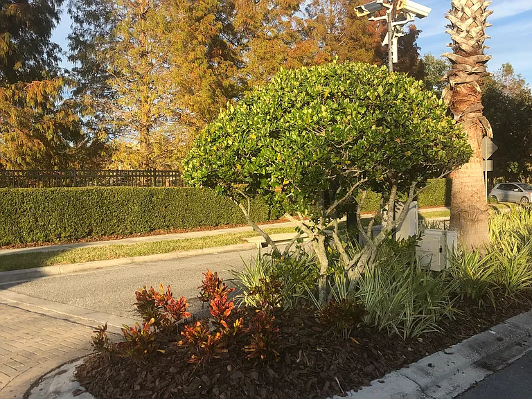 4819 Fiorazante Ave — Photo 4