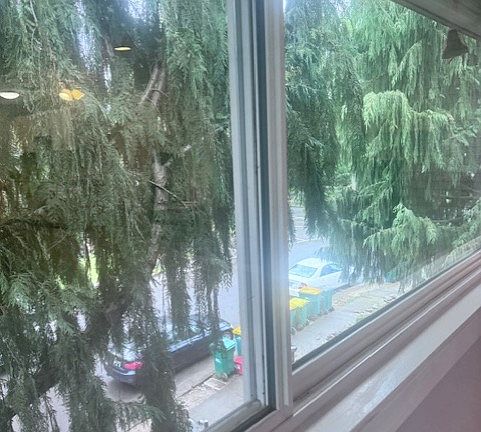 front window