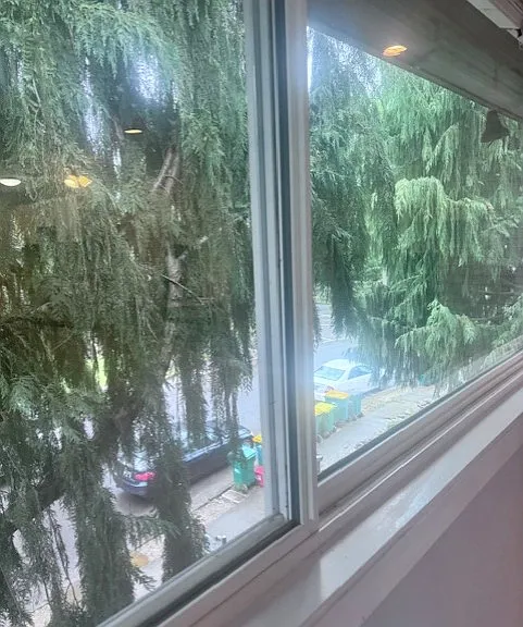 front window