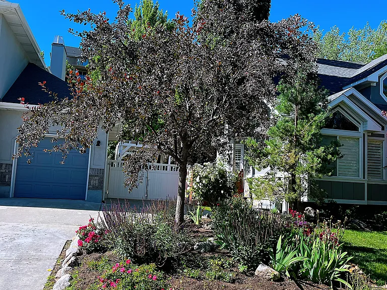 2102 E Candle Spruce Cv — Photo 3