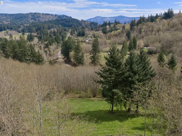 182 White Dog Rd, Washougal, WA 98671