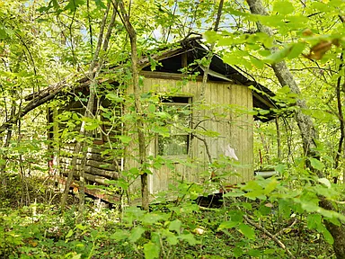 Property photo 11