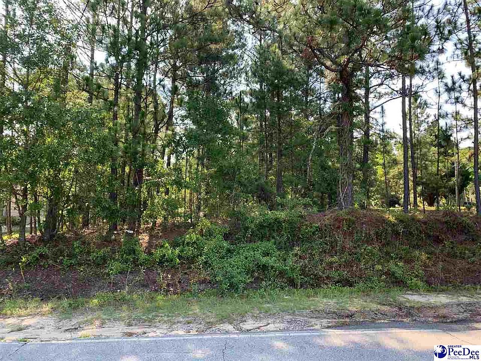 685 Macedonia Church Rd, Cheraw, SC 29520 Zillow