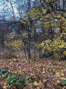 0 Mason St, Hudson, MA, 01749